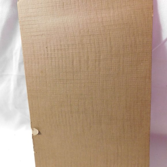 Fischer Capwell Photo Shop Antique Photograph of Woman - Picture 5 of 7